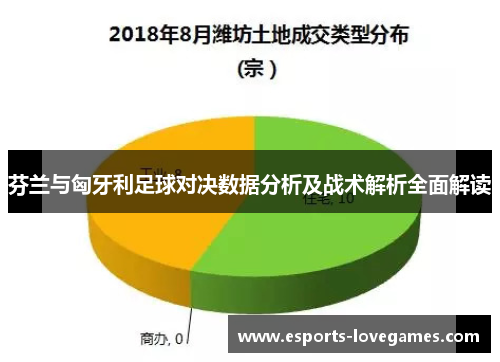 芬兰与匈牙利足球对决数据分析及战术解析全面解读