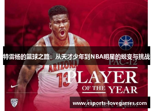 特雷杨的篮球之路：从天才少年到NBA明星的蜕变与挑战